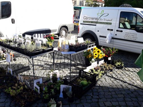 Gärtnerei Poschkam Waren (Müritz)